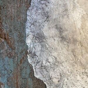 Image result for How to Remove Fossilized White From Conch Shells