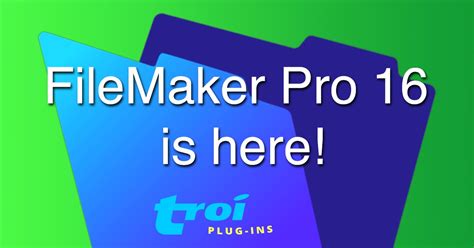 FileMaker Pro 16 Tutorial 的图像结果