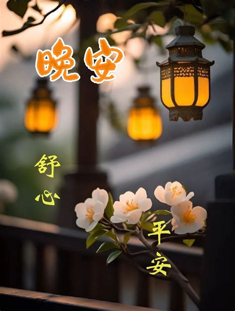 Pin by Gina on Chinese quotes | Good night massage, Good night gif ...