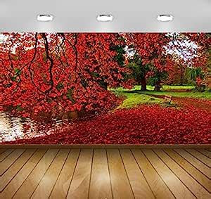 Buy Avikalp Exclusive Awi3261 Autumn Nature Beauty with Red Trees ...