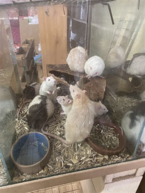 Noah's Ark, Auch: Information, Tickets and Reviews