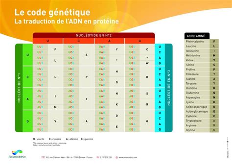 Image result for Code Genetique Exercice