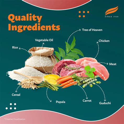 Himalaya Adult Meat n Rice 1.2kg