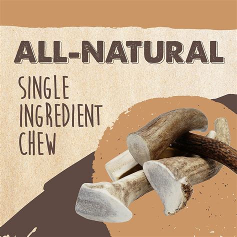 MightyPaw Mighty Paw Split Elk Antlers for Dogs (Sourced in India | Ubuy