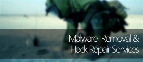 Fort Networks - Malware Removal & Hack Repair Services
