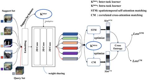 HiTIM: Hierarchical Task Information Mining for Few-Shot Action Recognition
