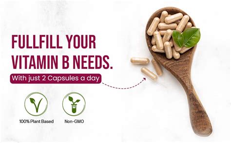 Vlado’s Himalayan Organics Plant Based Vitamin B Complex with 100% RDA ...