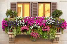 terrazzo in fiore un balcone fiorito 15 magnifici esempi da cui trarre terrazzo in fiore un balcone fiorito 15 magnifici esempi da cui trarre