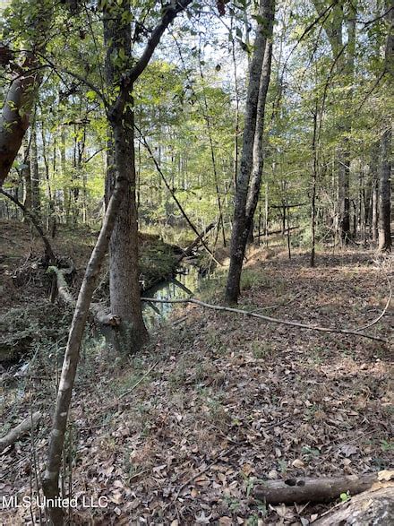 Clinton, MS Homes for Sale & Real Estate - Homes.com