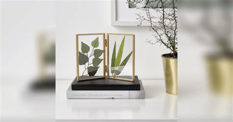 Budget Shopping At Ikea | LBB, Hyderabad