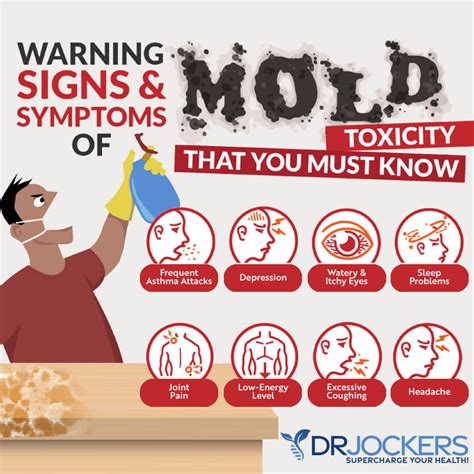 Mold Allergy: Symptoms, Testing and Natural Treatment