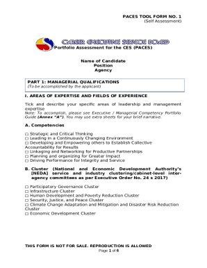 CES Self-Assessment Worksheet STS.docx - CAREER ... Doc Template ...