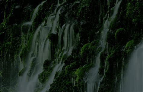 FUJIFILM X-H2 | Cameras | FUJIFILM X Series & GFX - India