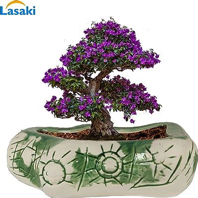 VISIONCRAFTERZ Boat Shaped Brown Oval Ceramic Pot for Plants Indoor ...