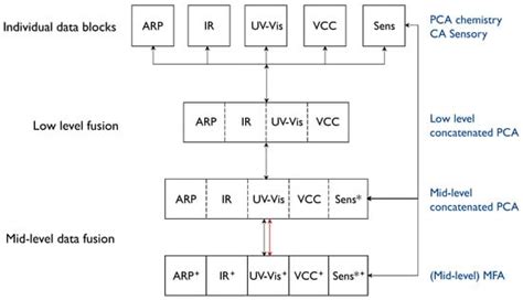 Exploration of Data Fusion Strategies Using Principal Component ...