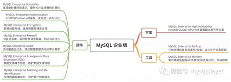 新特性解读 | MySQL 8 的备份工具该如何选择？