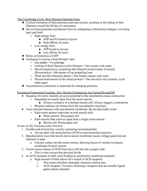 Image result for Crossbridge Cycle Model