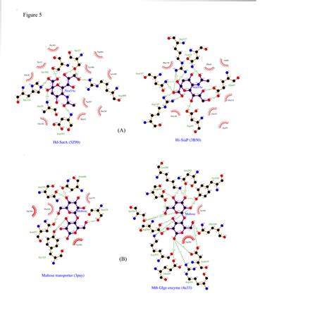 Image result for Ligplot Online Server