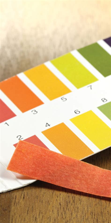 pH Testing 的图像结果