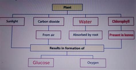 Image result for Class 7 DAV Science