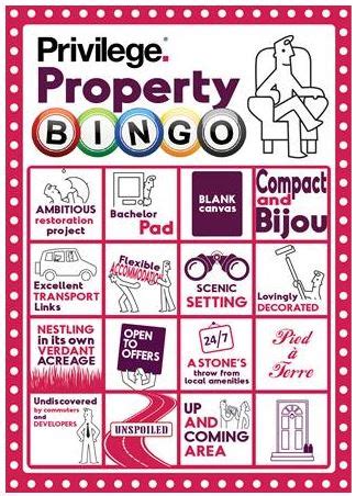 bingo101 agent,and an understanding of the gam