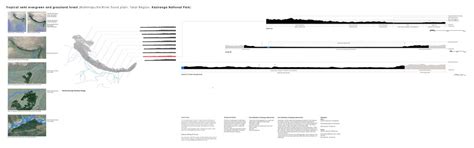 Forest Floor | CEPT - Portfolio