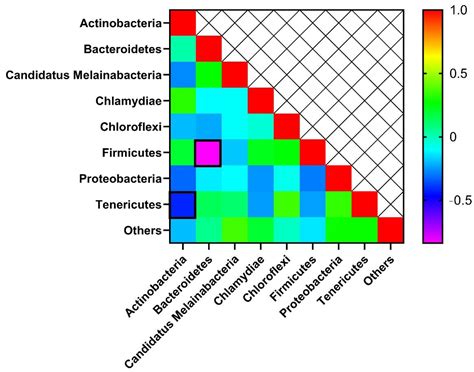 Effects of Dietary Supplementation of Solubles from Shredded, Steam ...