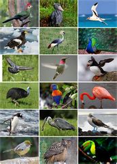 Image result for Separate Chaining Hash Table Problems