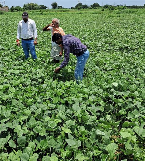Welcome to ICAR-CRIDA | भाकृअनुप – केंद्रीय बारानी कृषि अनुसंधान संस्थान