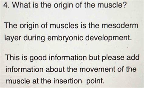 Image result for Example of Muscle Origin