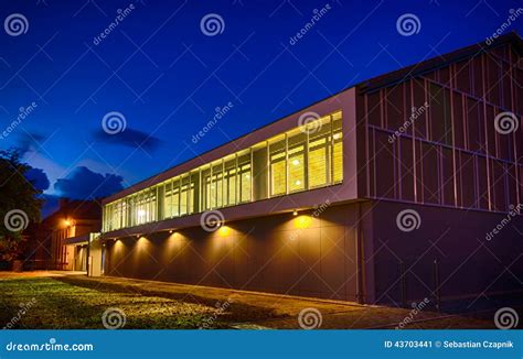 Day Night Sports 的图像结果