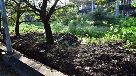 " Swachata Hi Seva " at New Mangalore Port on 17.09.2024 to 02.10.2024 ...