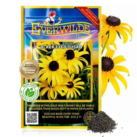 5 Best Black Eyed Susan Indian Summer | Beyond the Packet Gamble
