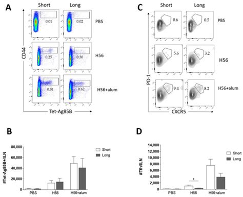 Vaccines | Special Issue : Evaluation of Vaccine Immunogenicity