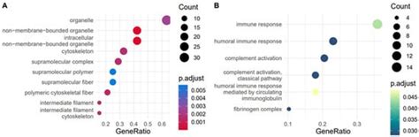 Multi-Omic Temporal Landscape of Plasma and Synovial Fluid-Derived ...