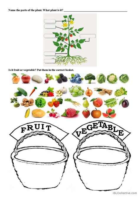 Image result for Spring Vocabulary Worksheet PDF