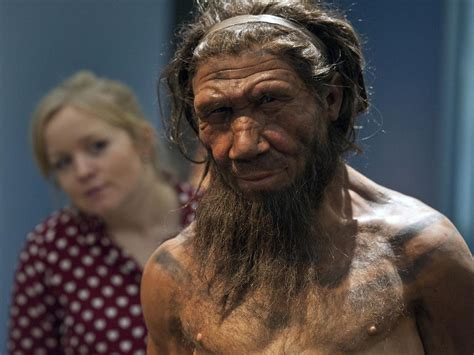 Neanderthal extinction caused by inbreeding and small populations rather than by humans, study ...