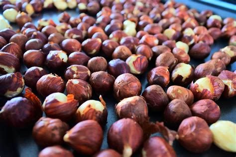 Image result for Roasting Hazelnuts in Shell