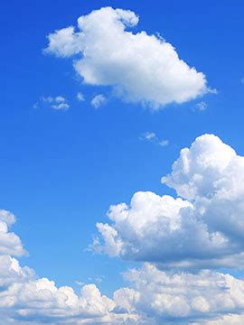 Obituary of James Lee Harris | Taylor Funeral & Cremation Services