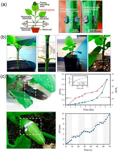 Biosensors | January 2025 - Browse Articles