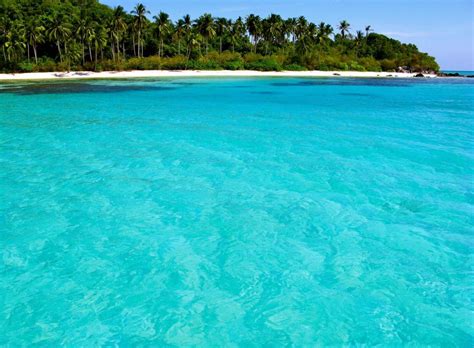 Image result for Java Island Capital