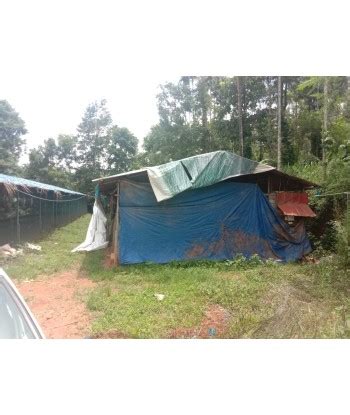 Poultry Farm in Wayanad