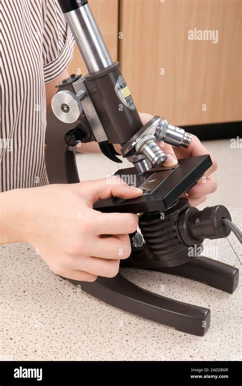 Video On Microscope Using Steps 的图像结果