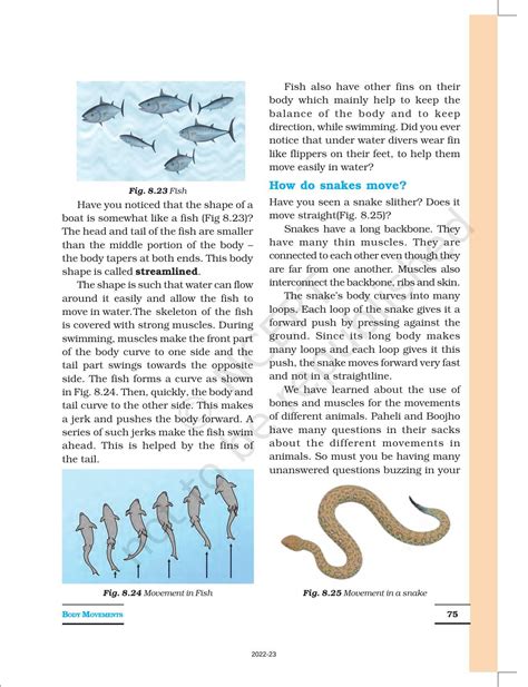 Image result for Science Class 8 Chapter 6 NCERT Tutorial