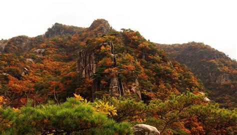 JEBIBONG PEAK (2026) All You Need to Know BEFORE You Go (with Photos ...