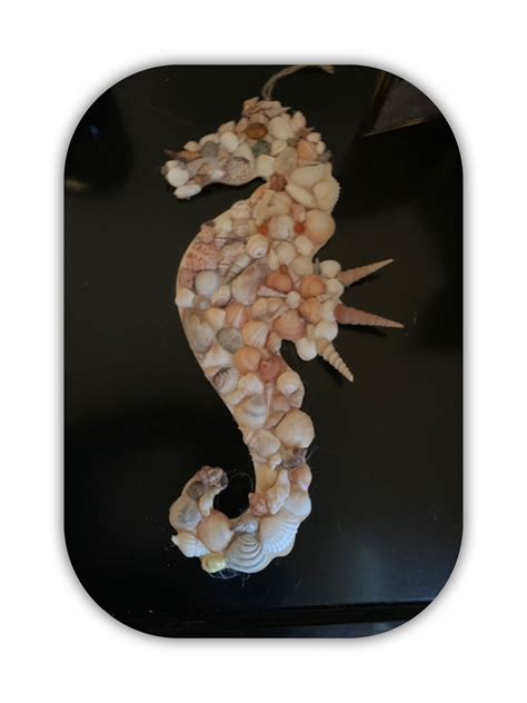 Crafting with Shells 的图像结果