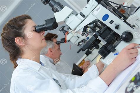 Image result for A Person Inspecting Using Microscope