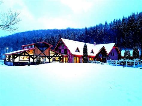 PENSION CASA CU FLORI (Valea Crisului) - Pension Reviews & Photos ...