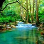 Image result for Spring of Rivers