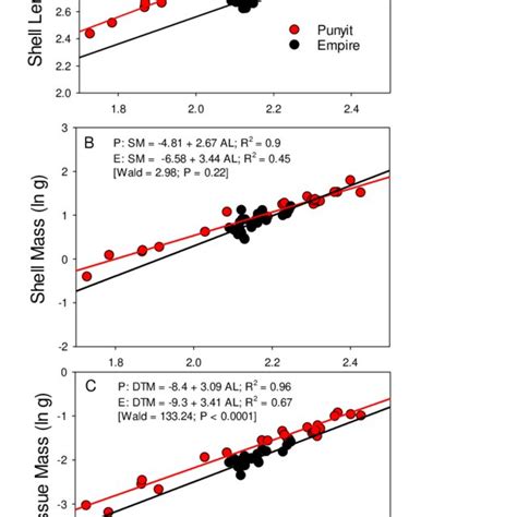 Image result for Shells Length